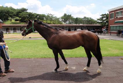 ����ƼƯ�� ����