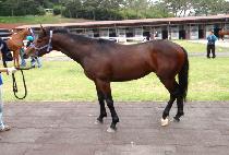 �ռ� (WANGSEONG) ����