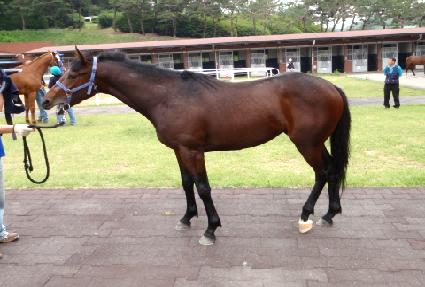 �ռ� ����