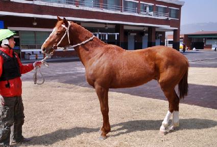 ��ȣ�ô� ����