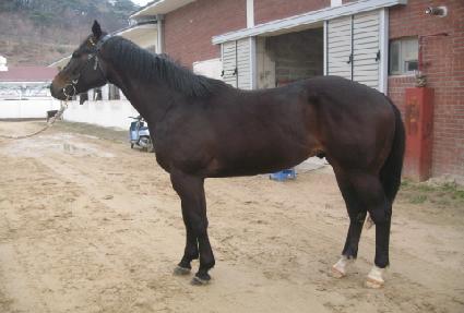 ��� ����