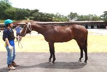 õ���¾� (CHEONHU TAEYANG) ����