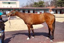 ��º��� (RAON BOLD) ����