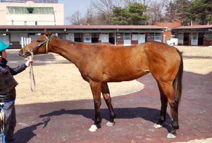 ��º��� ����