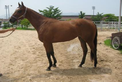 ��õ����� ����