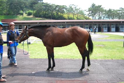 ����ũ��� ����