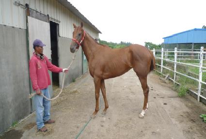 ��Ƽè�� ����