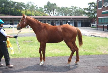 �ؾմ��� ����