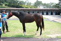 �����Ű (SPECIAL KEY) ����