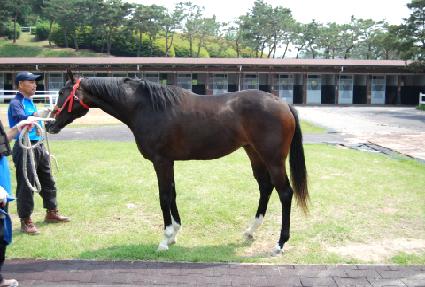 �����Ű ����