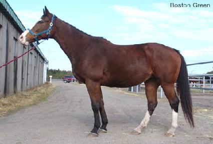 �����ϱ׸� ����