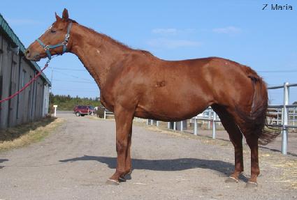 ��Ʈ������ ����