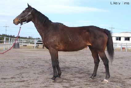 ����Ŭ��Ƽ�� ����