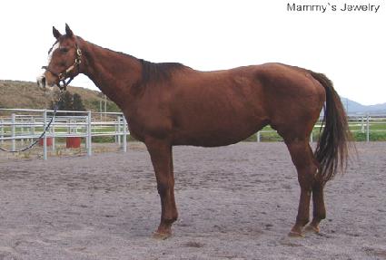 �������־� ����