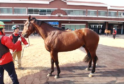 �������� ����