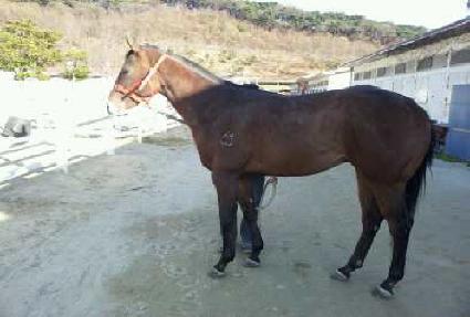 �߹����� ����