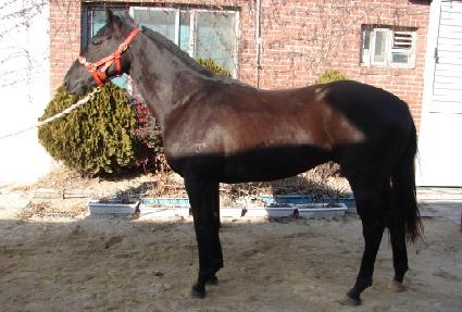 ��ٸ���� ����