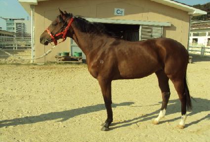 õ�Ϲ��� ����