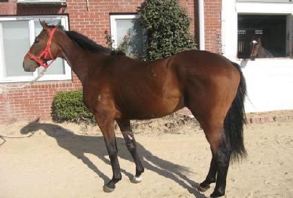 õ������ ����