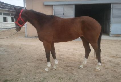 ����㸮���� ����