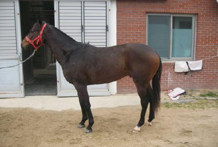 �ʱ� ����