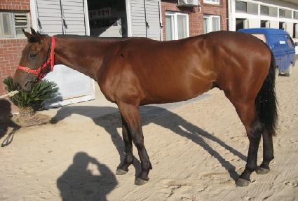 �������� ����