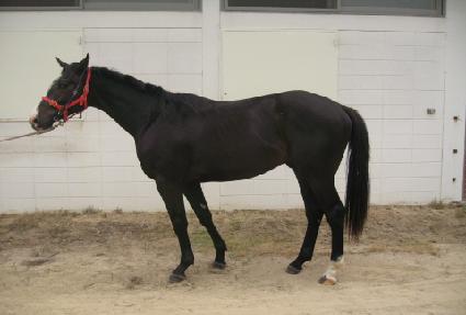 ����Ű���� ����