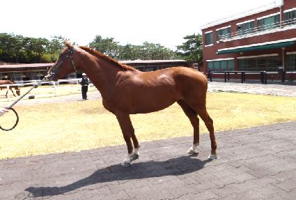 ȭ������Ƽ ����