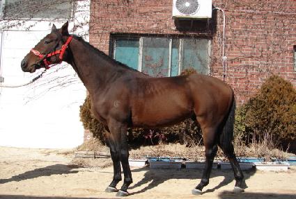 �¸������� ����