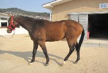 ���н��� (BULPAE SEUNGJA) ����