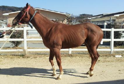 ���´��� ����