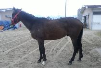 �ŵ��� (SINDONGNYEOK) ����