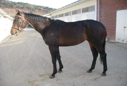 �÷��̰�� ����