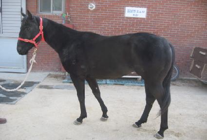 ��ũ���̵� ����