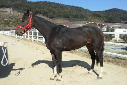 �������� ����