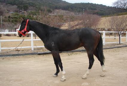 ���̾�è�� ����