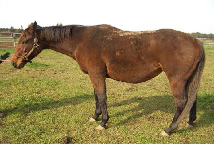 ��Ʈ��Ʈ����ǽ� ����