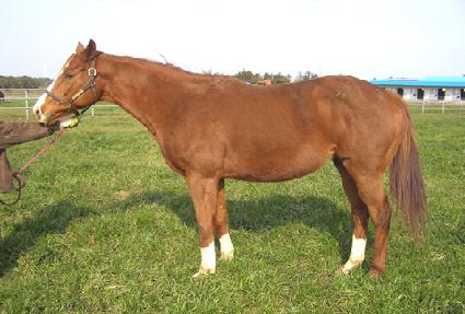 ���ͷ�������Ʈ ����