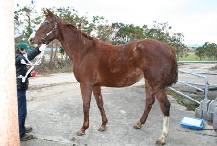 �귣Ʋ�� ����