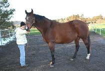 SANTA FE STRIP picture