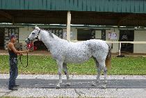 ��Ȧ��� (DON��T HOLD BACK) ����