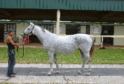 ��Ȧ��� ����