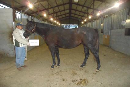 ���巹�̸��� ����