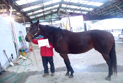 ��Ʈ������Ű ����