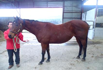 �ǹ����� ����