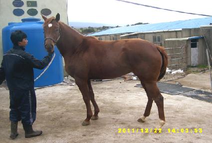 ����ο��� ����