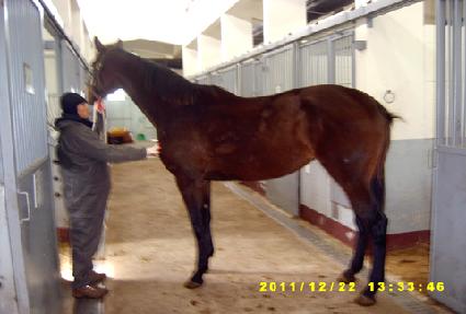 ��Ÿ�Ϸ��� ����