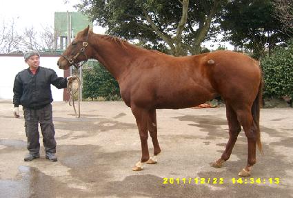 �μ����ֽ�Ƽ�ø� ����