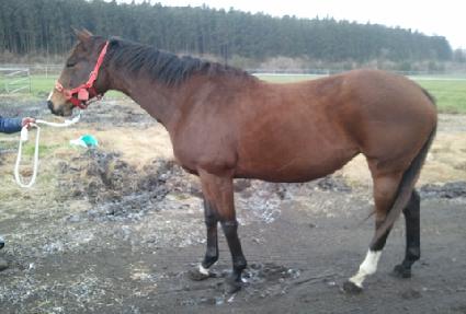 ����ξ⽺���� ����