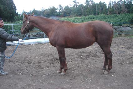 POINT CLEAR ����